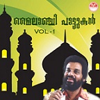 Pathi Palathilum