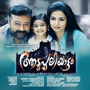 Vaalmuna Kannile cover artwork