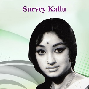 Vipanchike Vida Paryum Munporu cover artwork