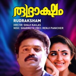 Ananda Chinmaya cover artwork