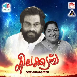 Neela Kurinjikal Pookunna Veedhiyil cover artwork