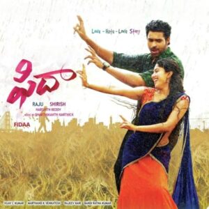 Hey Pillagaada cover artwork